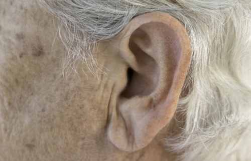 Hearing Loss and What Can Be Done Is September's “Learn and Lunch” Top...